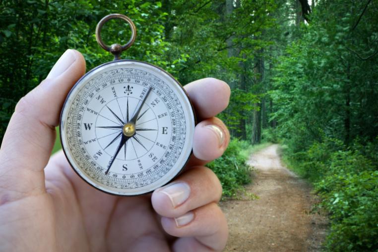 compass held up in the left corner of image with forest path in background - tall green leafy trees