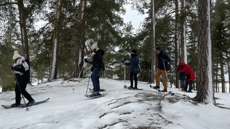 finnish winter