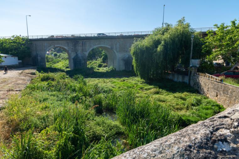 Urban river with greenery and bridge