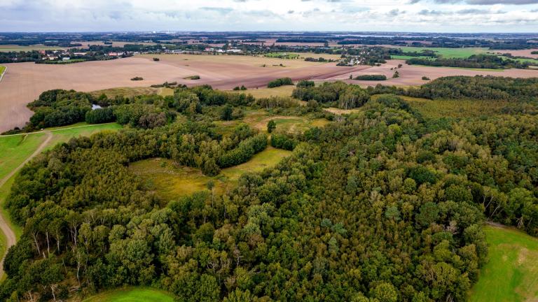 Aerial view of woodland and farmland