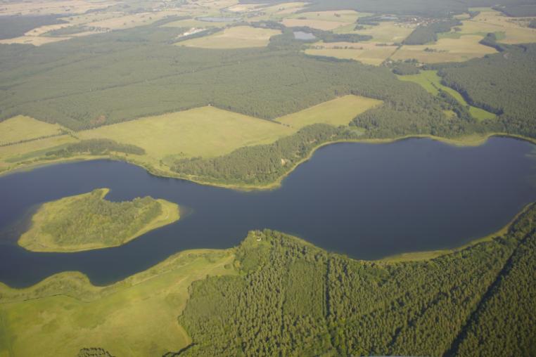 Aerial image of European wetland