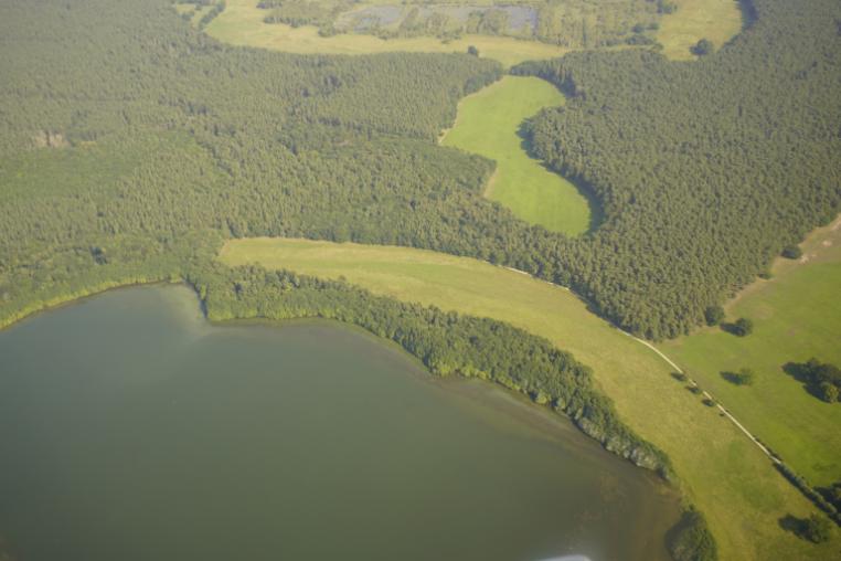 Aerial view of wetland in Europe