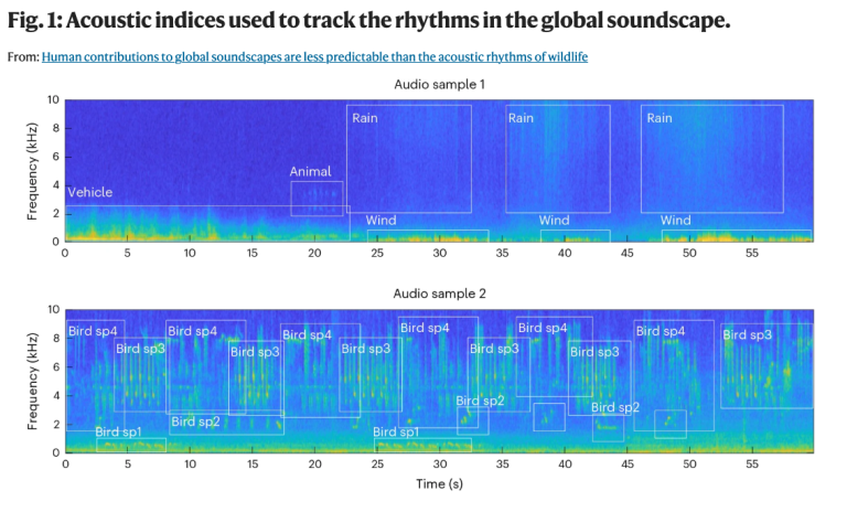 Acoustic indices used to track the rhythms in the global soundscape