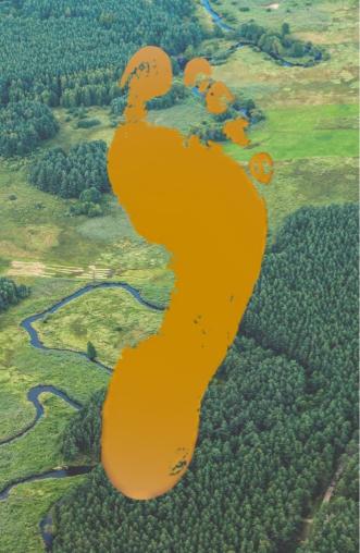 ECOLOGICAL FOOTPRINT 