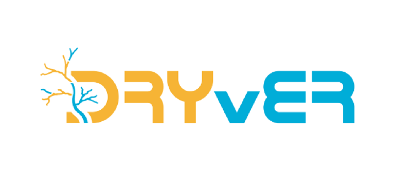 dryver logo - orange and blue futuristic text with plant growing through D