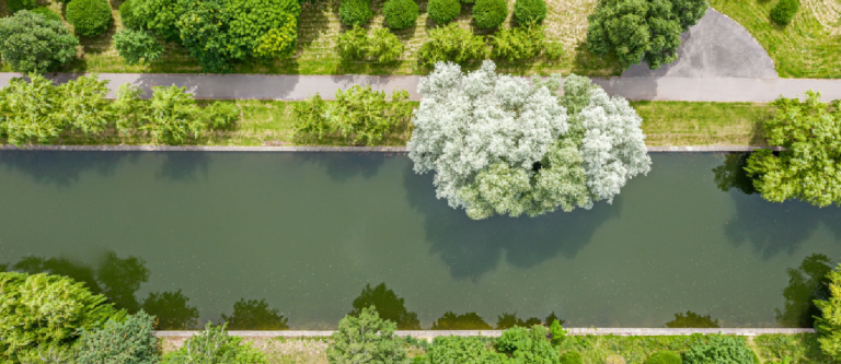 green passage either side of river running straight