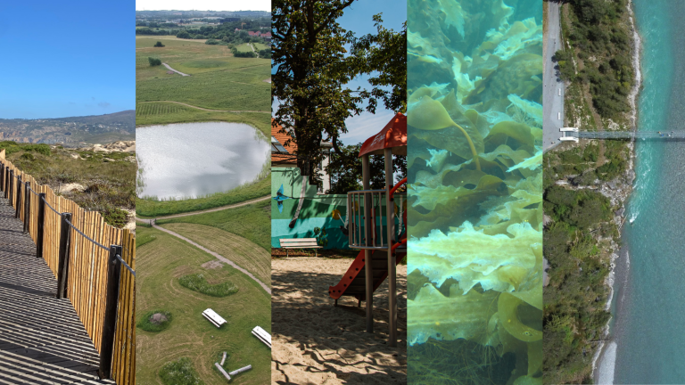 Invest4Nature collage of different types of nature