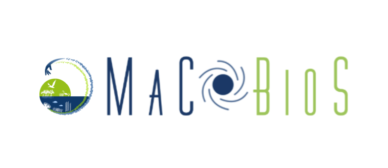 macbios logo - circle with lower half as water in blue with a small green hill and the outer part of the circle swooping round in blue and green