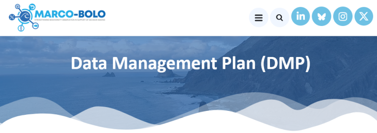 management plan marcobolo