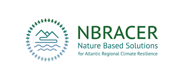 NBRACER logo - circle showing mountains and water
