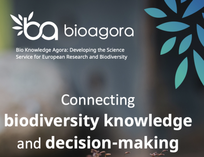 connecting biodiversity knowledge and decision making - report cover 