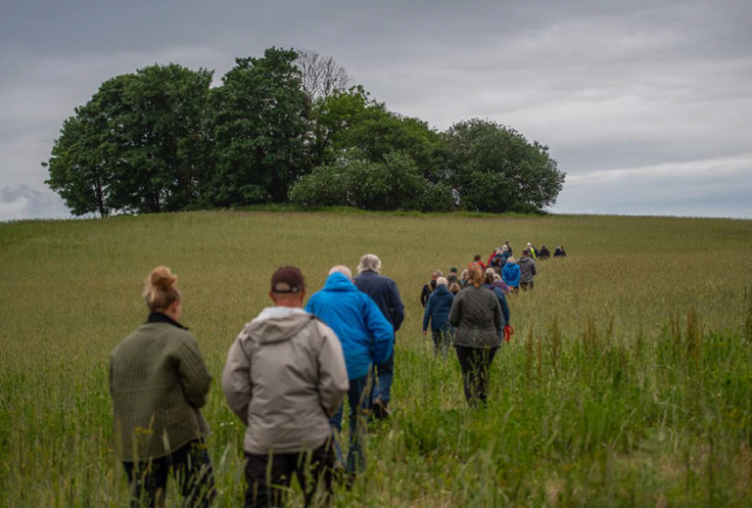 people walking through green field towards dark green tree with grey clouds