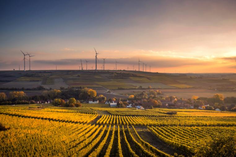 agricultural innovation 