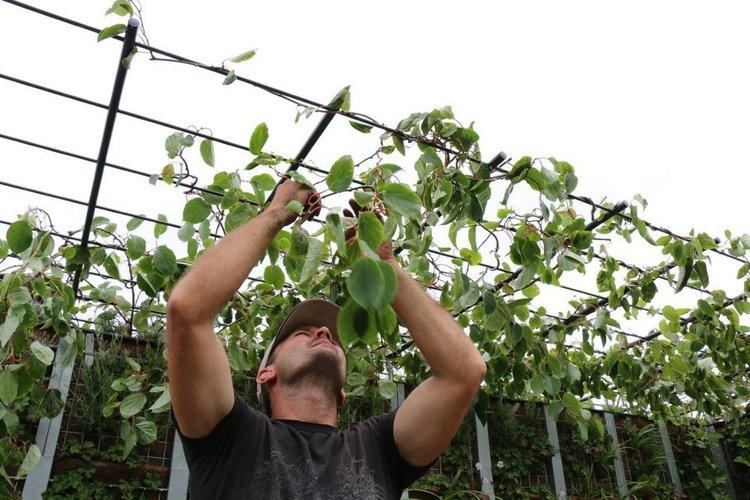 man planting on overhead planter