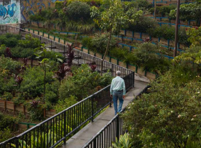 C40 URBAN  NATURE  ACCELERATOR