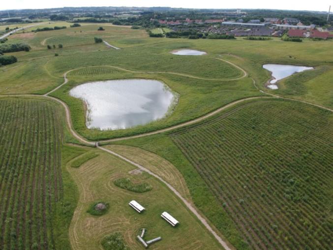 Hasselger forest in Aarhus