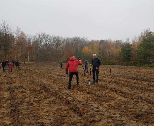 Tree planting in Poznan, Poland