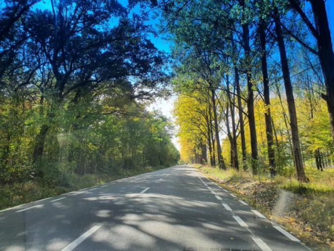 Rasinari, Asoc. Rasinari confluente europene (Romania)