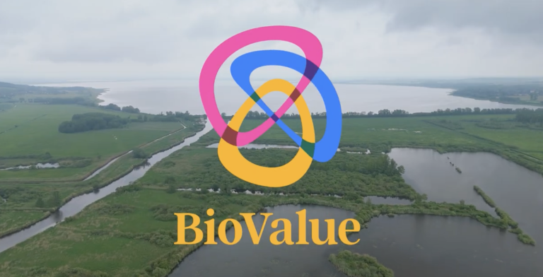 biovalue - overlay over text