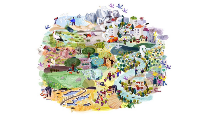 Various NbS illustrations