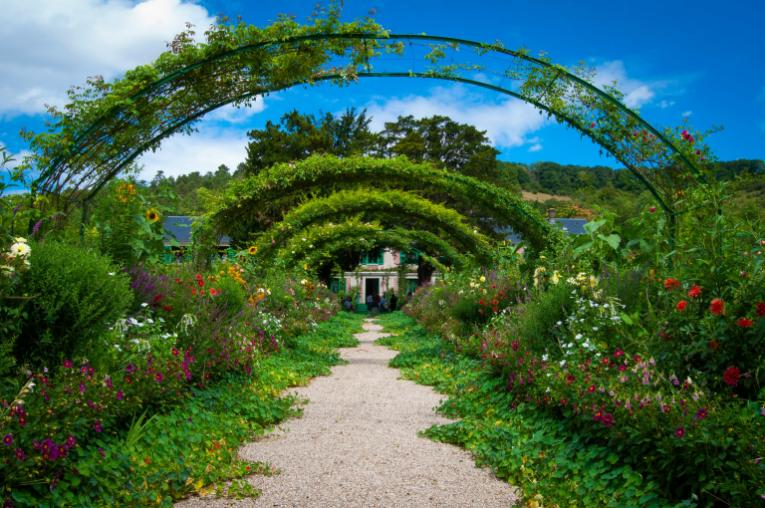 urban garden 