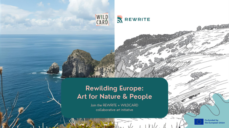 Flyer for the WILDCARD arts initiative.