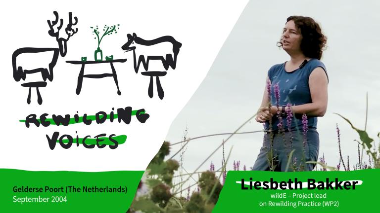 thumbnail for rewilding voices