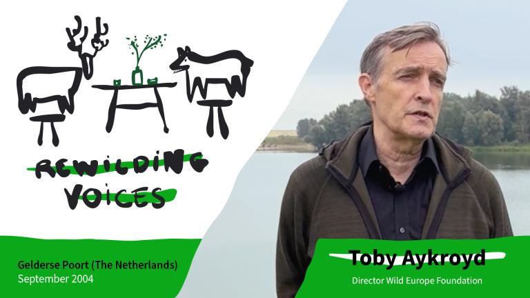 thumbnail for rewilding voices