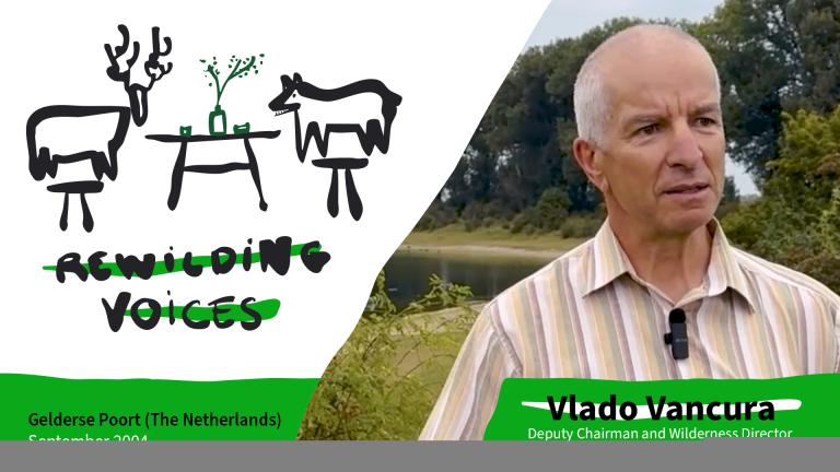 rewilding voices thumbnail