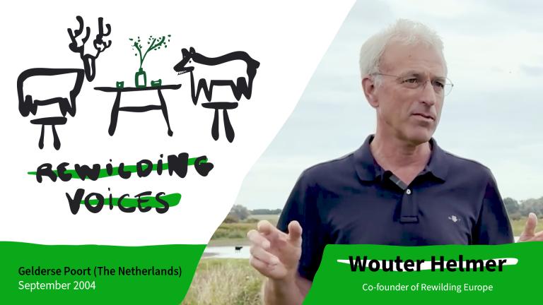 rewilding voices thumbnail