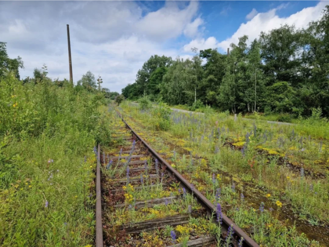 Rail tracks that are abandoned and overgrown in Ruhr.