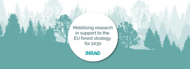 Mobilising research in support of the EU forest strategy for 2030 flyer.