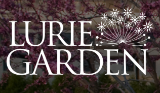 Lurie garden logo