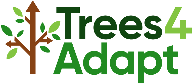 trees4adapt logo - trunk with brown upward pointing arrow
