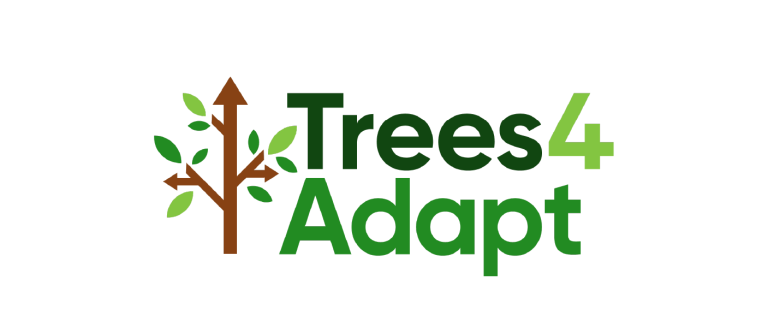 trees for adapt logo with trunk of tree being a brown up pointing arrow