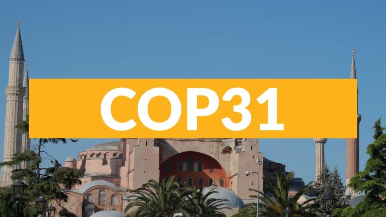 COP31