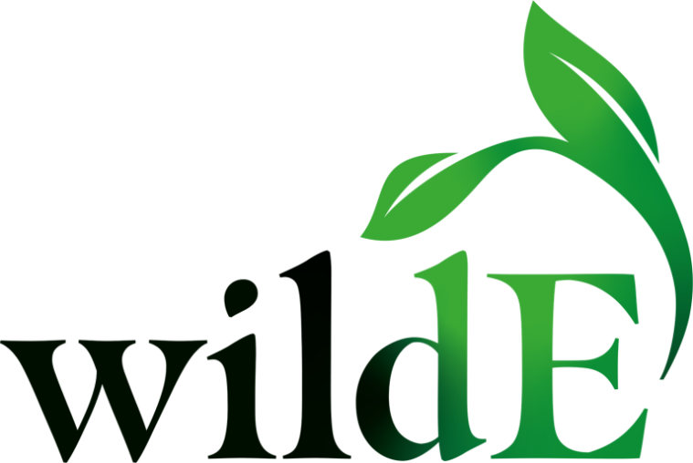 The wildE logo with a leaf reaching from the E to the L.