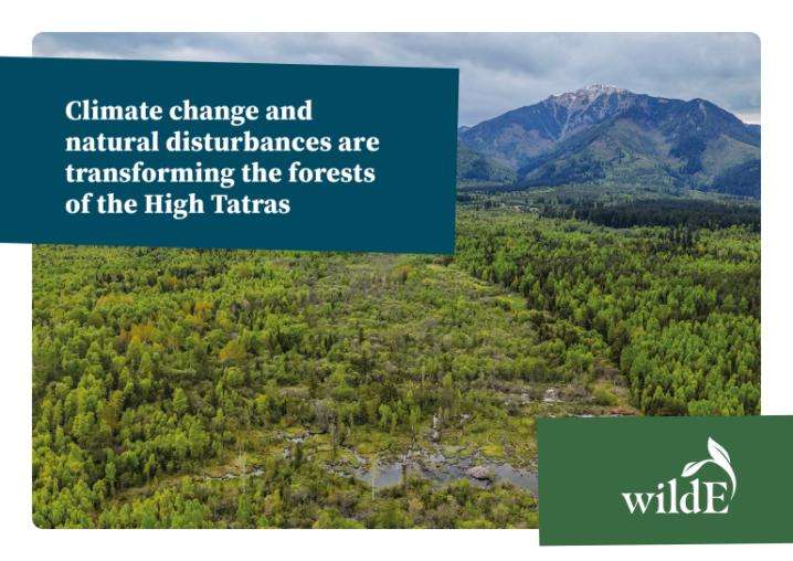 The cover of the document showing the Tatras mountains.