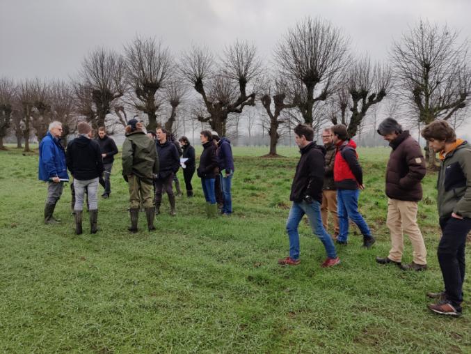 Agroecology or regenerative agriculture?