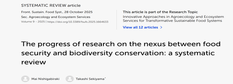 The title of the paper