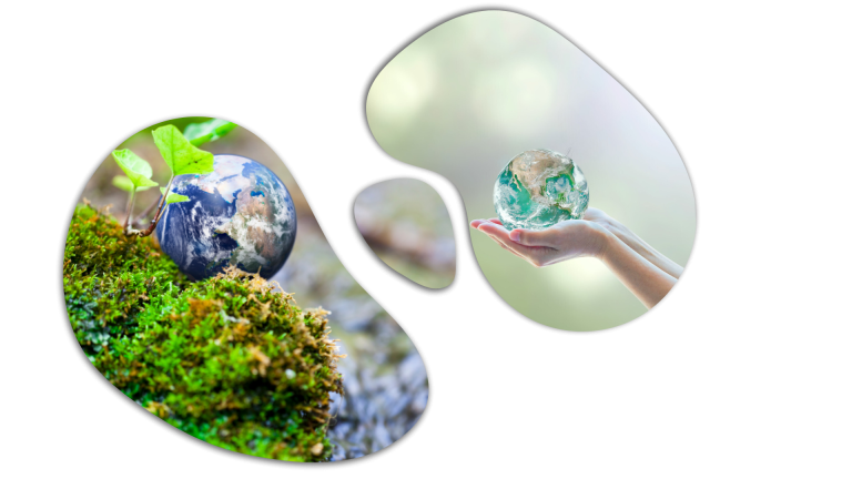 NATMed Decision-making Tool 