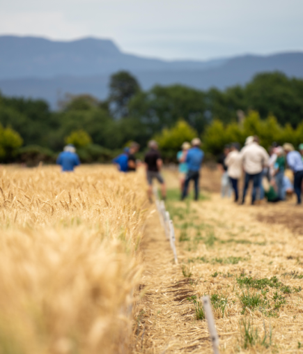 networknature people in nature