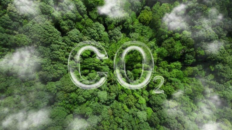 Aerial view of forest with CO2 superimposed over the top.