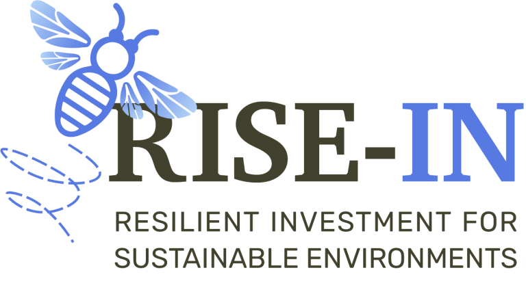 rise in logo with BEE