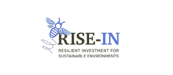 rise-in logo