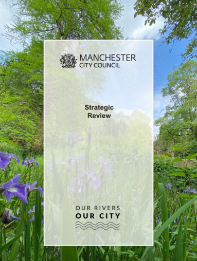 strategic review document cover