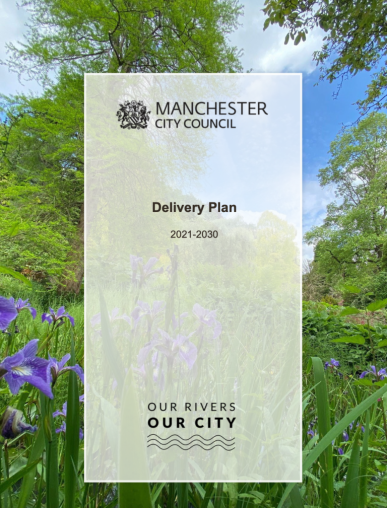 delivery plan cover