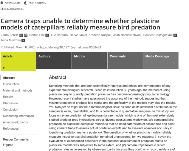 Screenshot of the title of the paper in the online journal.