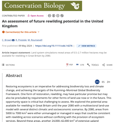 Screenshot of the title of the paper in the online journal.