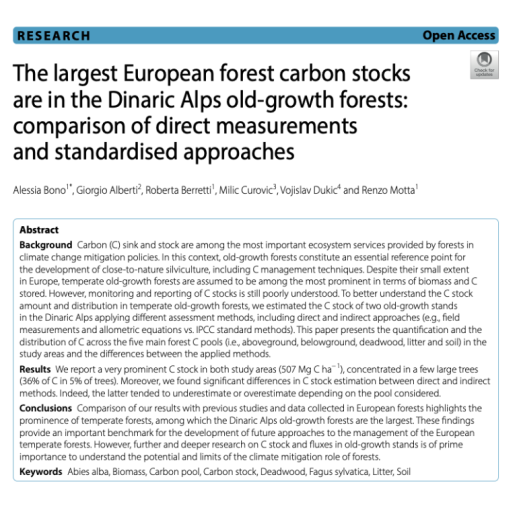 the largest european forest carbon stocks 